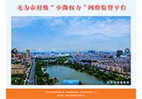 無為市村級“小微權力”網絡監(jiān)督平臺